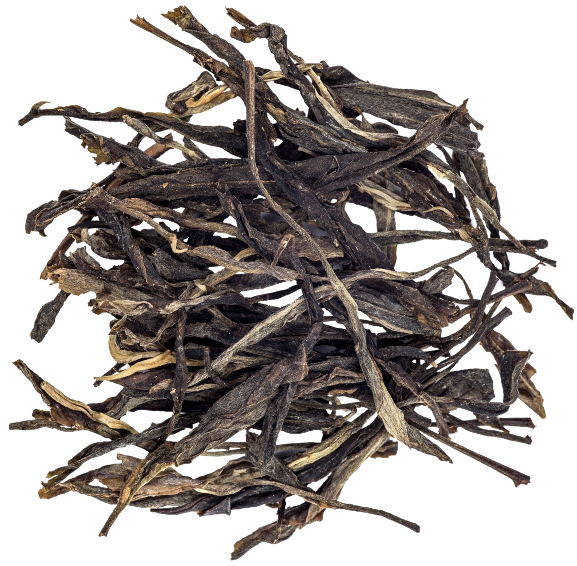 Endurance &middot; cold-brewed sencha